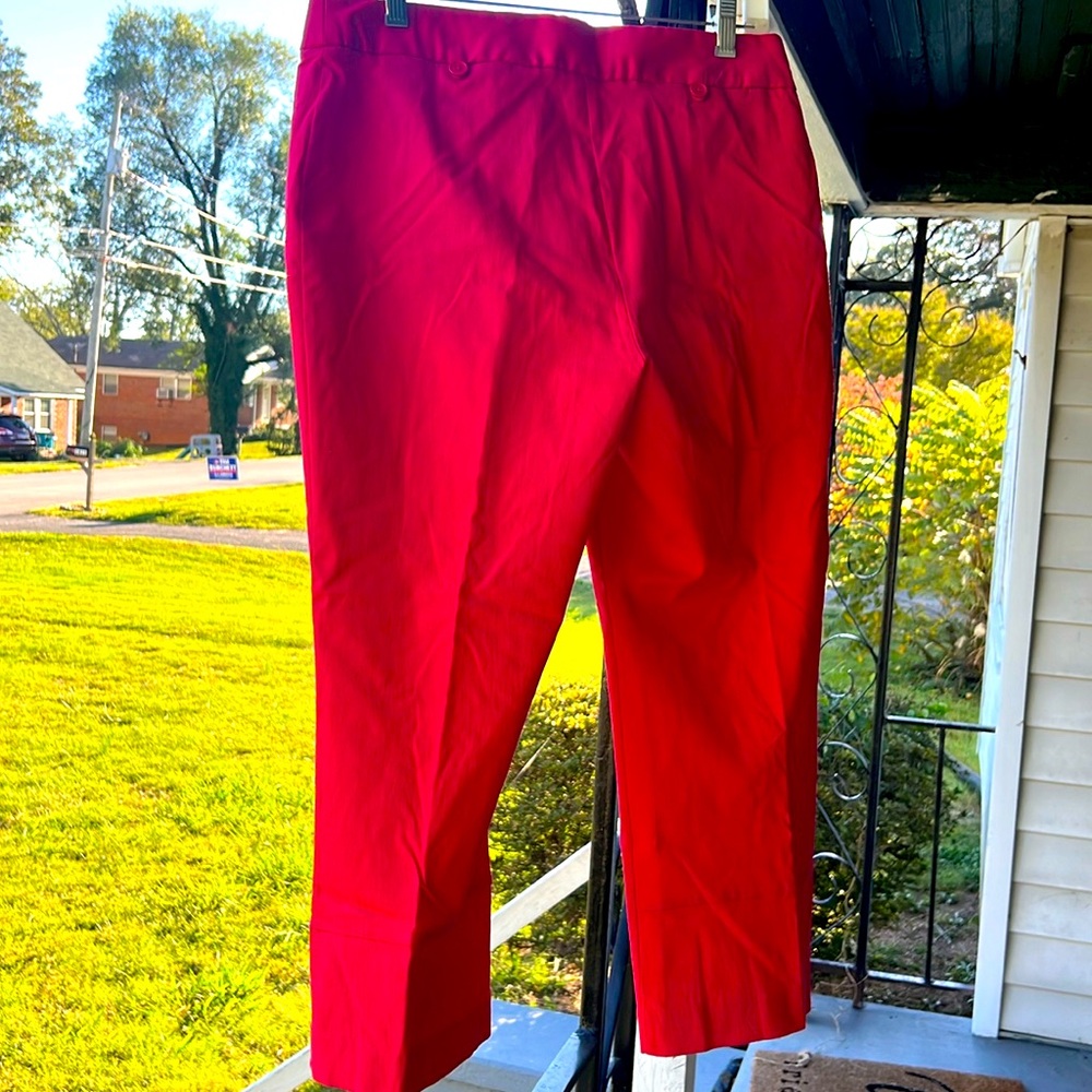 ⭐️ Express red high rise cropped capri pants bodycon zip up fitted women jr 11